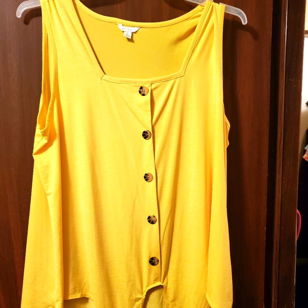 Ladies top